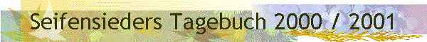 Seifensieders Tagebuch 2000 / 2001