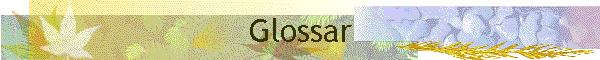 Glossar