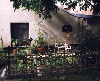 mein Garten